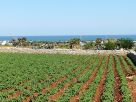 Villa Polignano A Mare